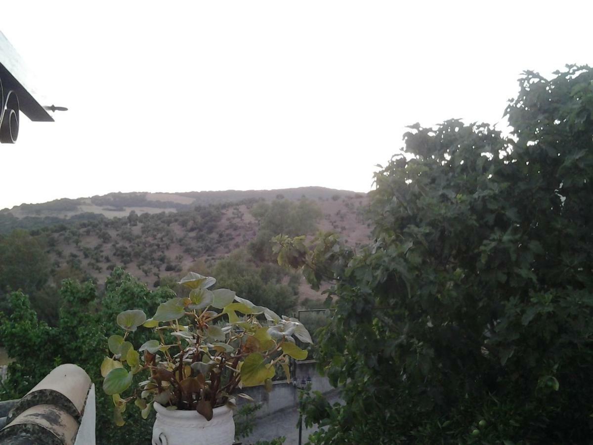 Casa Maria Luisa Villa El Bosque Eksteriør bilde